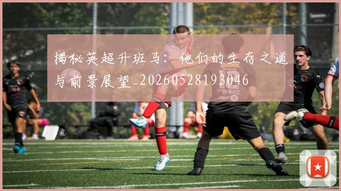 揭秘英超升班马:他们的生存之道与前景展望_20260528193046