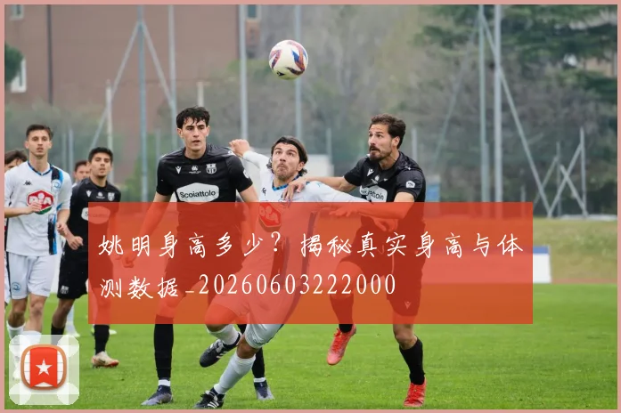 姚明身高多少？揭秘真实身高与体测数据_20260603222000